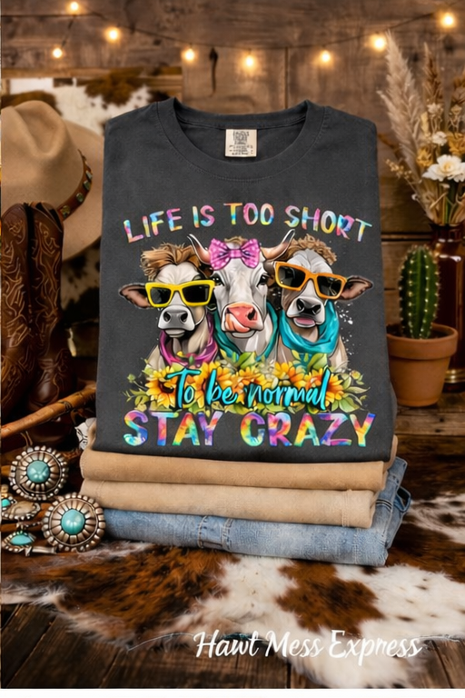 Life Is Too Short Stay Crazy Cowgirl Cow Shirt | Funny Western Cow Tee | Colorful Farmhouse Graphic T-Shirt