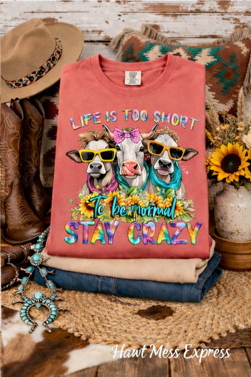 Life Is Too Short Stay Crazy Cowgirl Cow Shirt | Funny Western Cow Tee | Colorful Farmhouse Graphic T-Shirt